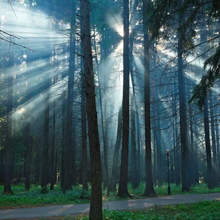 Sustainably Produced &  Biodegradable